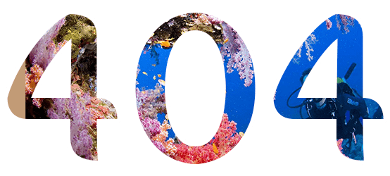 404